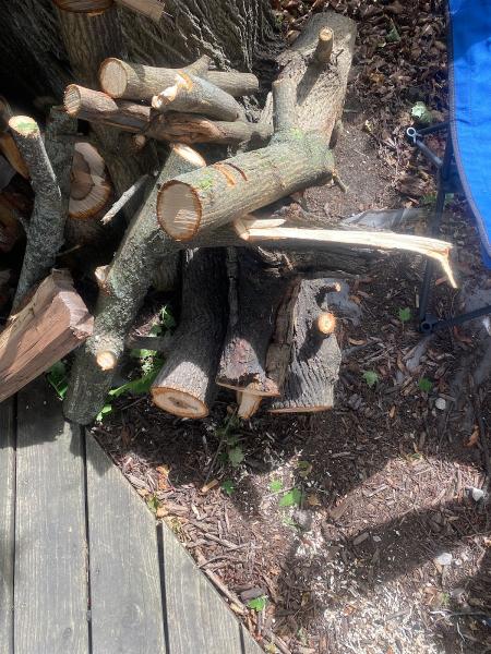Better Tree Care