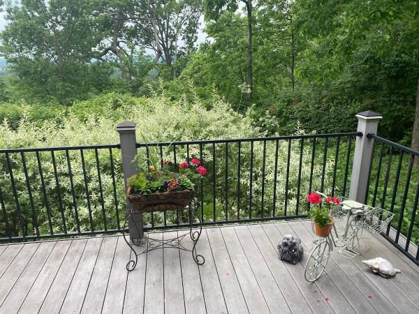 Fence Company Cincinnati