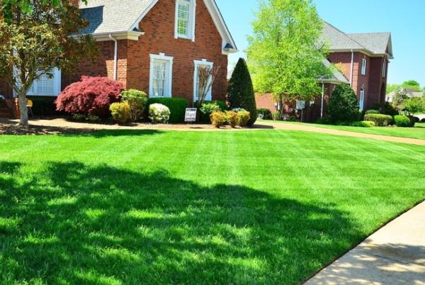 Rolling Green Turf Care