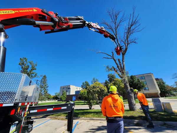 Treehugger Complete Tree Care