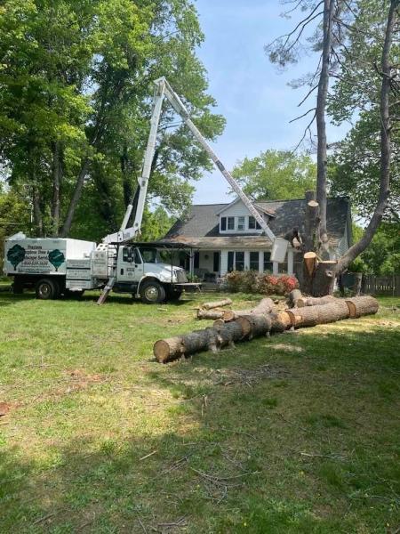 Gordon W. Frazier Tree Service