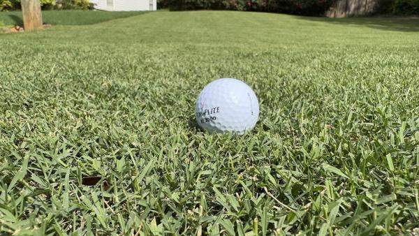 Level Lawns