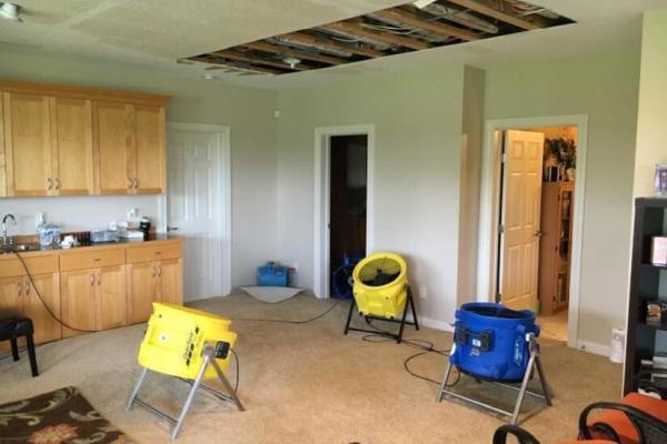 Fast Fire Water Mold Damage