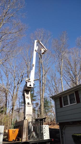 J. Witkowsky & Sons Tree Service LLC