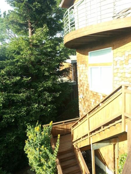 Norcal Wood Restoration Staining & Painting