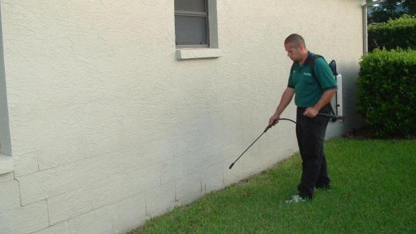 Greentec Pest Control