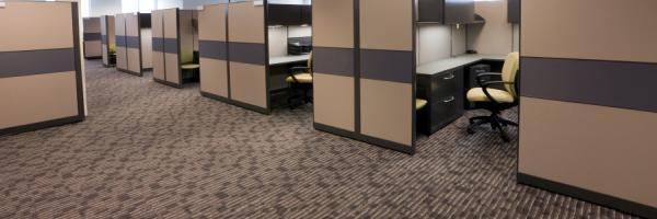 Standard Carpet Cleaning