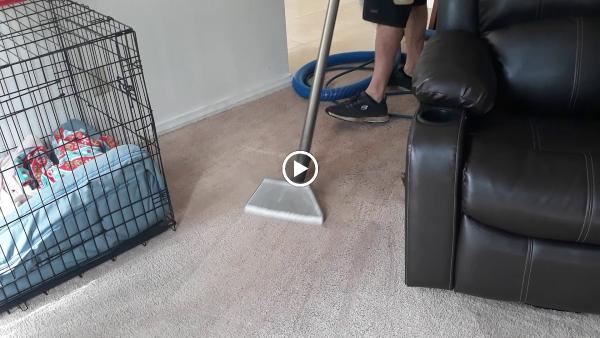 Knockout Carpet Cleaning