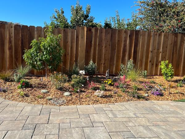 Terra Bella Landscaping and Design