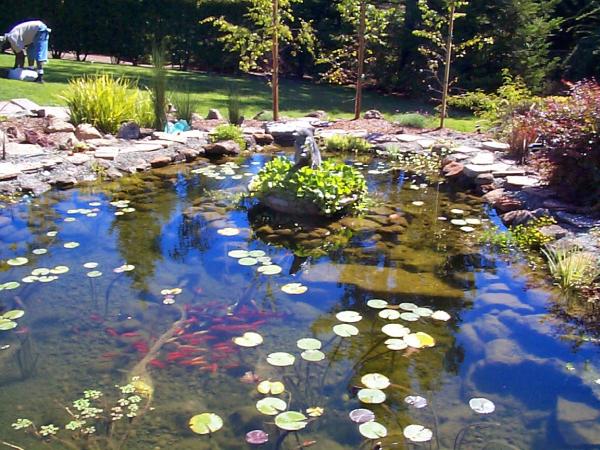Terra Bella Landscaping and Design