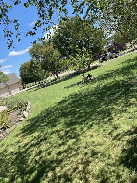 Bonilla Landscaping