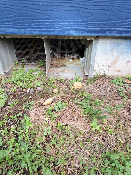 Madrona Pest Control Services