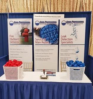 CT Professional Water Services