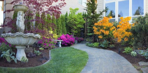 Landscaping Round Rock