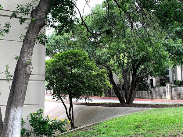 Strategic Property Management