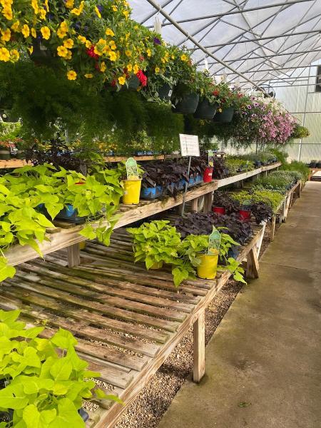 Integrity Nursery & Outdoor Living