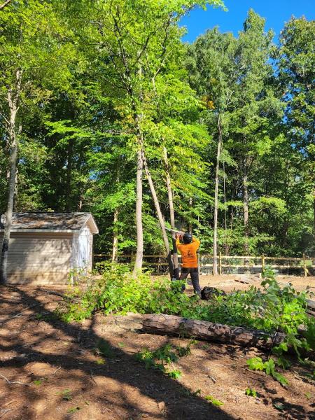 Gomez Tree Service