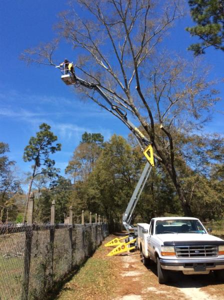 9 Mile Rd Tree Service