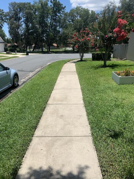Picture Perfect Pressure Washing and Painting