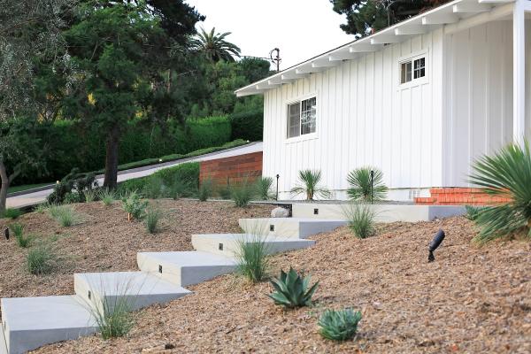 Rivetti Landscapes