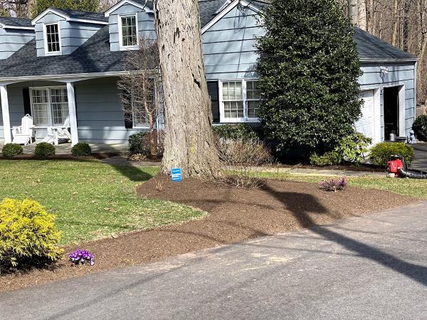 Apex Landscape & Design