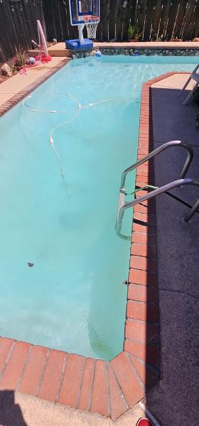 Paradigm Pool Care