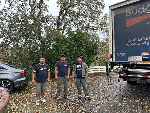 All Stars Movers