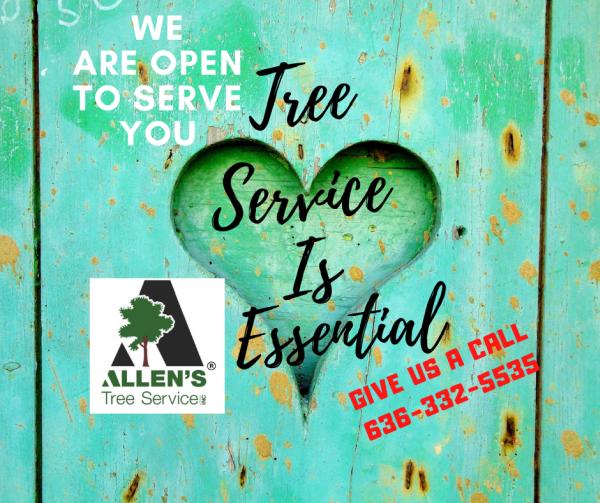 Allen's Tree Service