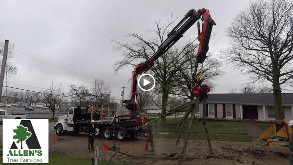 Allen's Tree Service