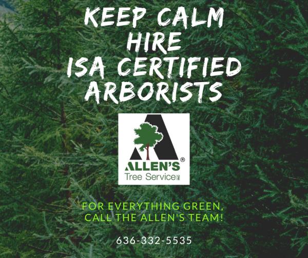 Allen's Tree Service