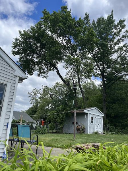 ATS Tree Services