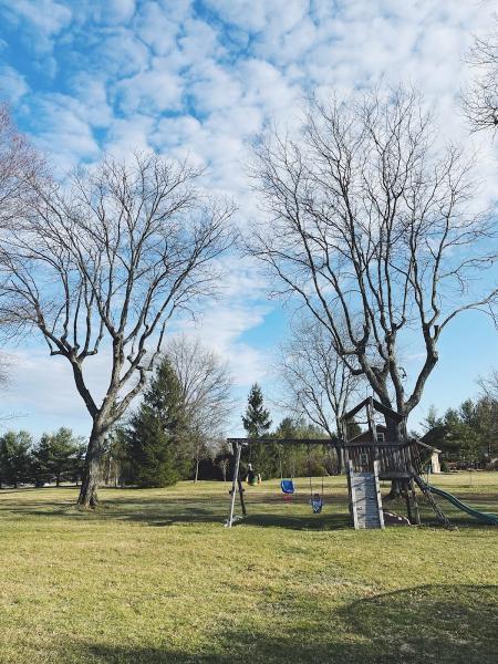 ATS Tree Services