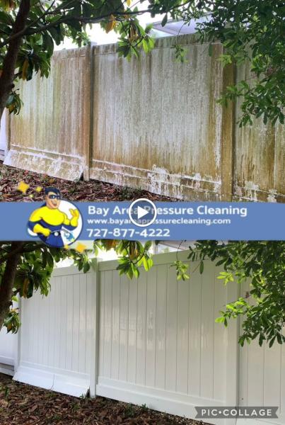 Bay Area Pressure Cleaning
