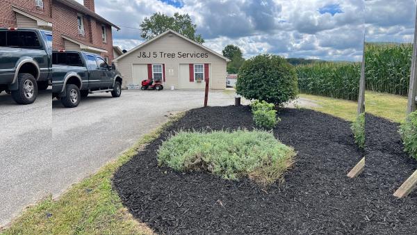 J&J 5 Tree Services LLC