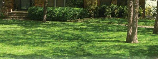 Imperial Lawns