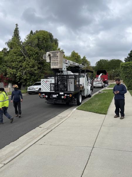 Thrifty Tree Service Inc