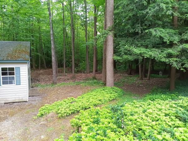 Boldt Excavating LLC