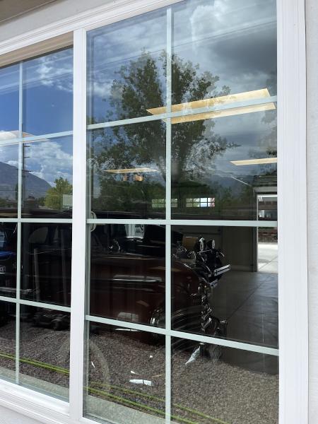 Vivid Window Cleaning