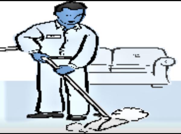 Immaculate Carpet Cleaning & Restoration Service
