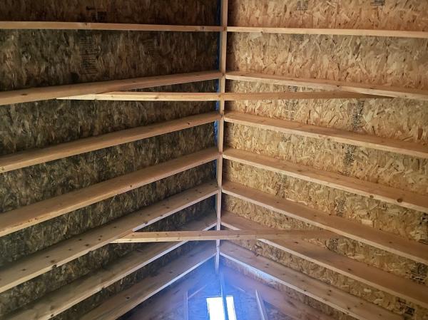 Advanced Mold Testing and Remediation Services