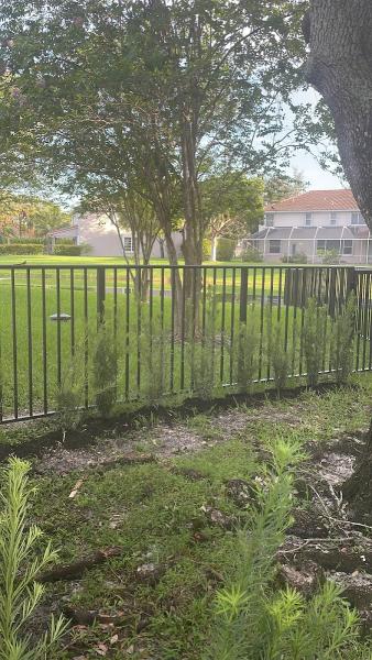 First Class Fence and Rail