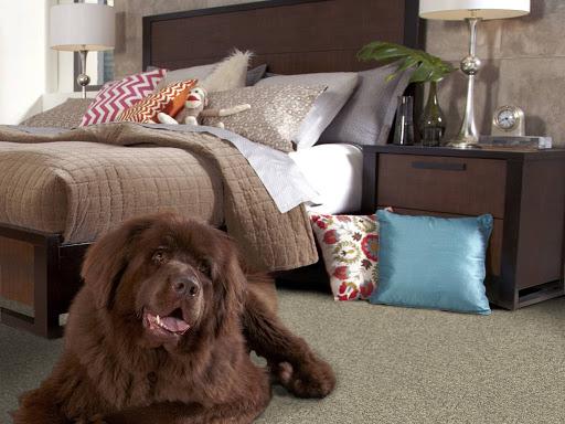 Dover Floor Covering