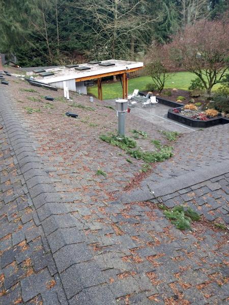 Absolute Windows Gutters & Pressure Washing Co