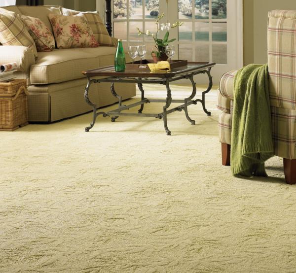 Green Home Cleaning and Restoration