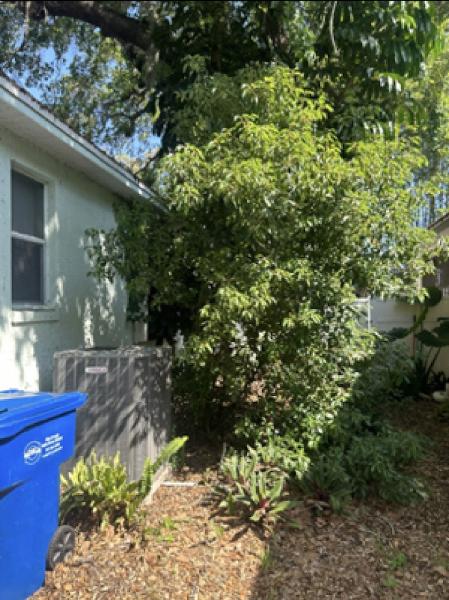 A Bakers Tree Service
