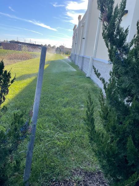T.m.b. Lawn Care Inc
