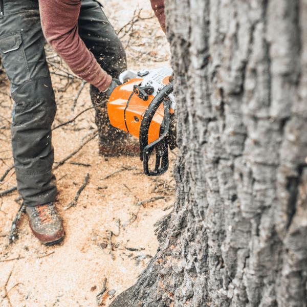 Premier Scapes Tree Service