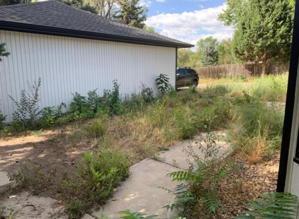 Diggable Designs Landscape & Gardening