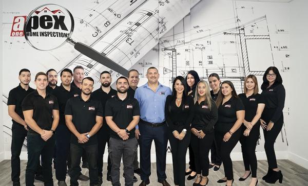 Apex One Inspections and Surveys