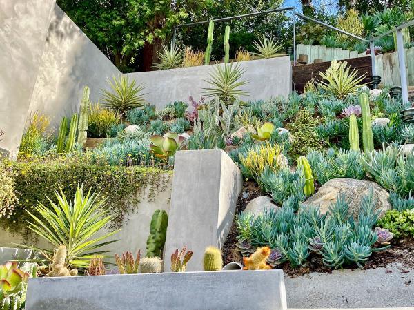 Dirt Beauty